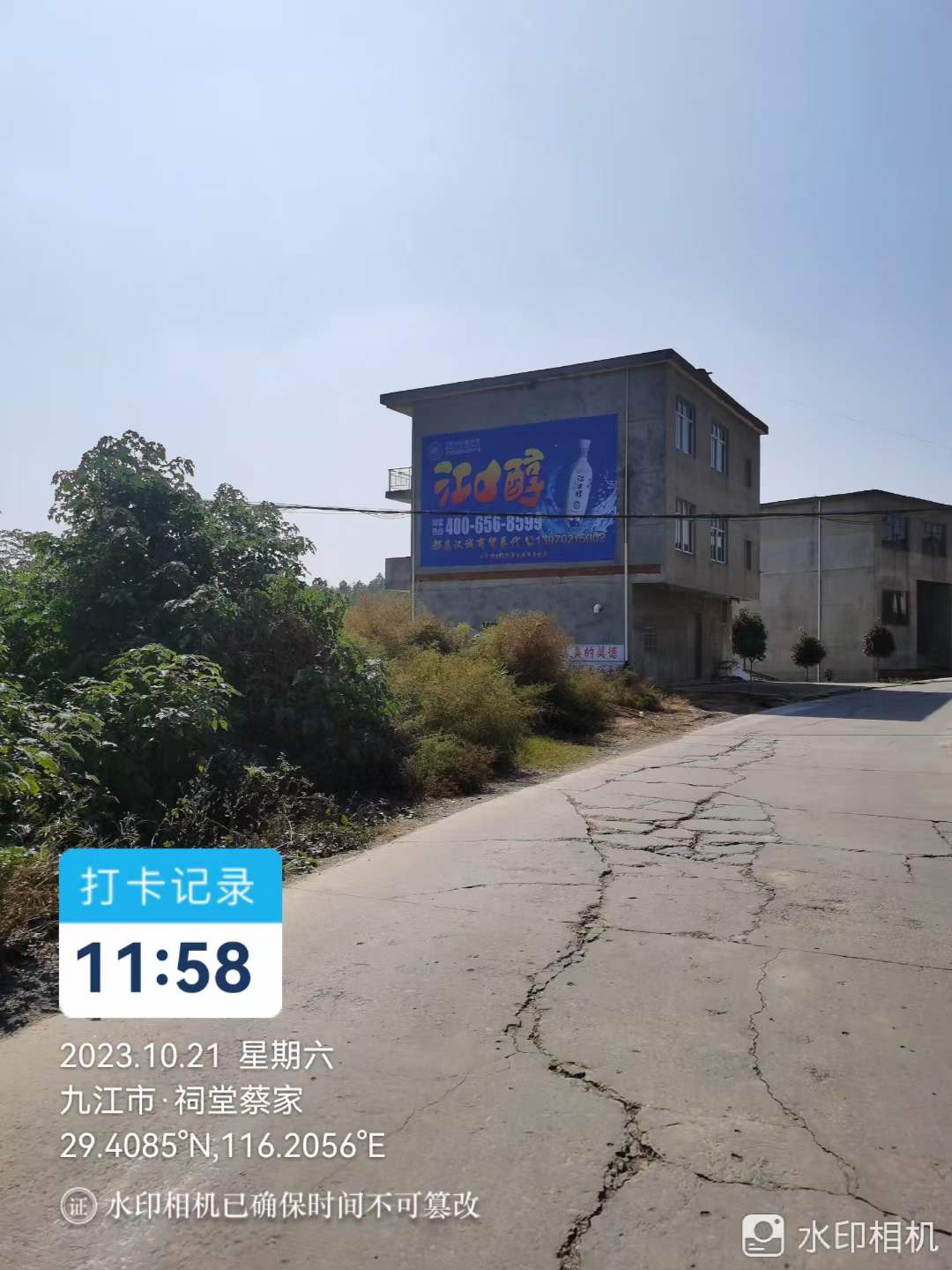 �Ž����w�V��