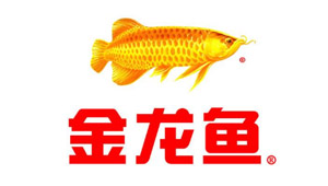 合作伙伴 合作伙伴